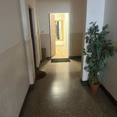 Concerti, Stadio E Aeroporto