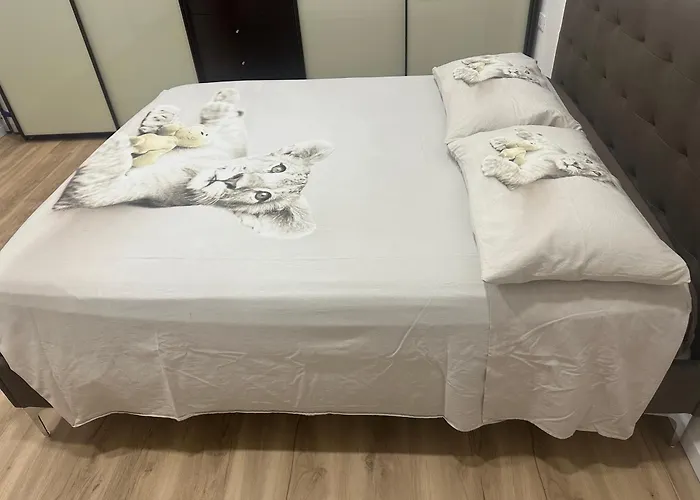 Concerti, Stadio E Aeroporto בולוניה