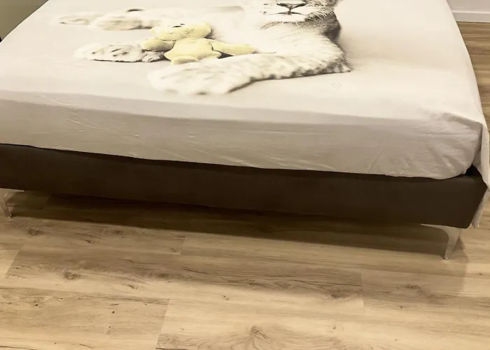 Concerti, Stadio E Aeroporto