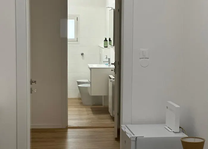 Concerti, Stadio E Aeroporto בולוניה