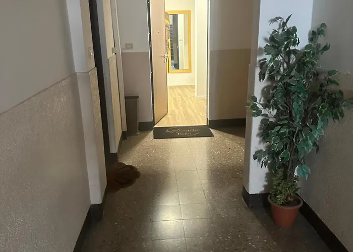 Concerti, Stadio E Aeroporto