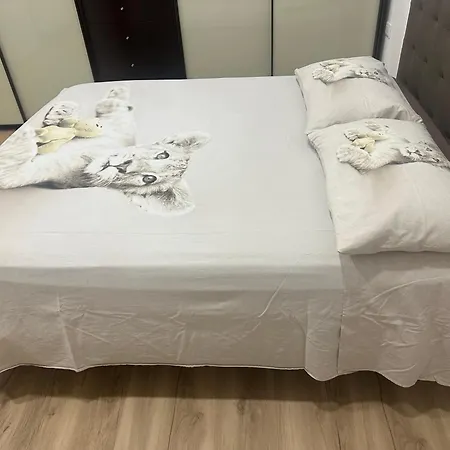 Concerti, Stadio E Aeroporto Bolonia