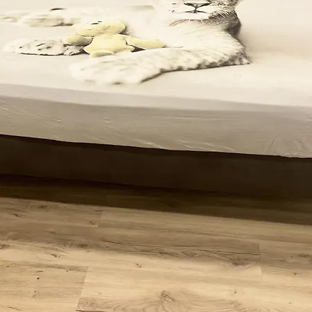 Concerti, Stadio E Aeroporto